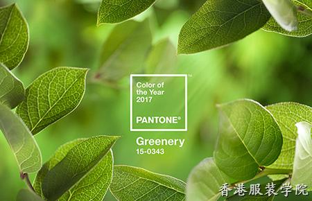 Pantone公布2017年度代表色「草木綠」